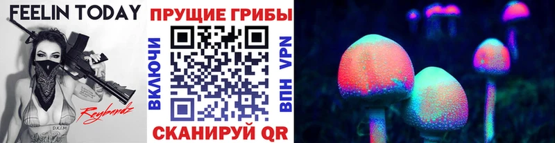 Псилоцибиновые грибы мицелий Новая Усмань